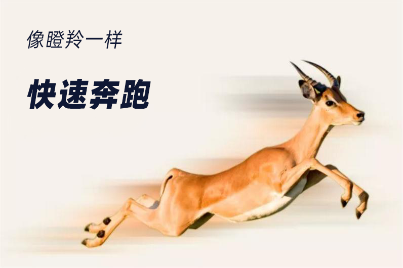微信图片_20220808193238.png