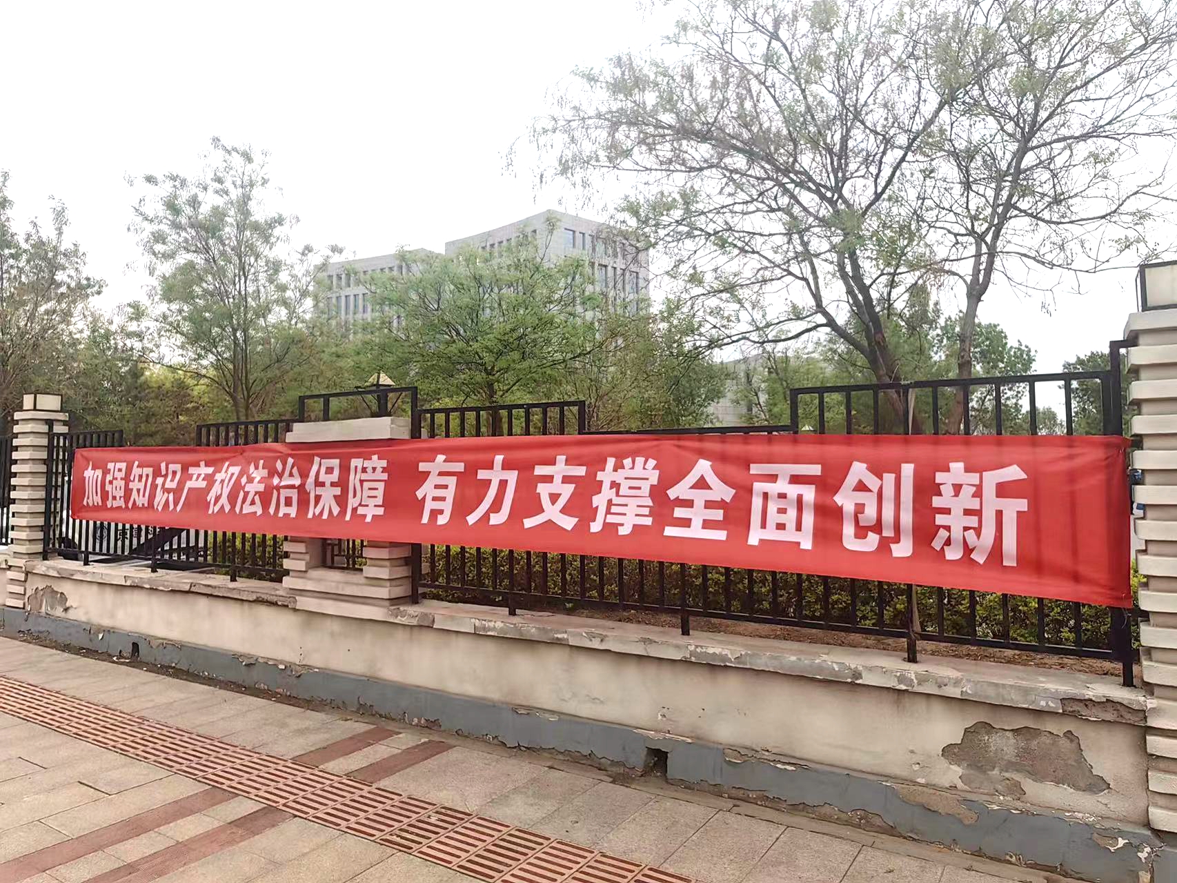 微信图片_20230428093711.jpg