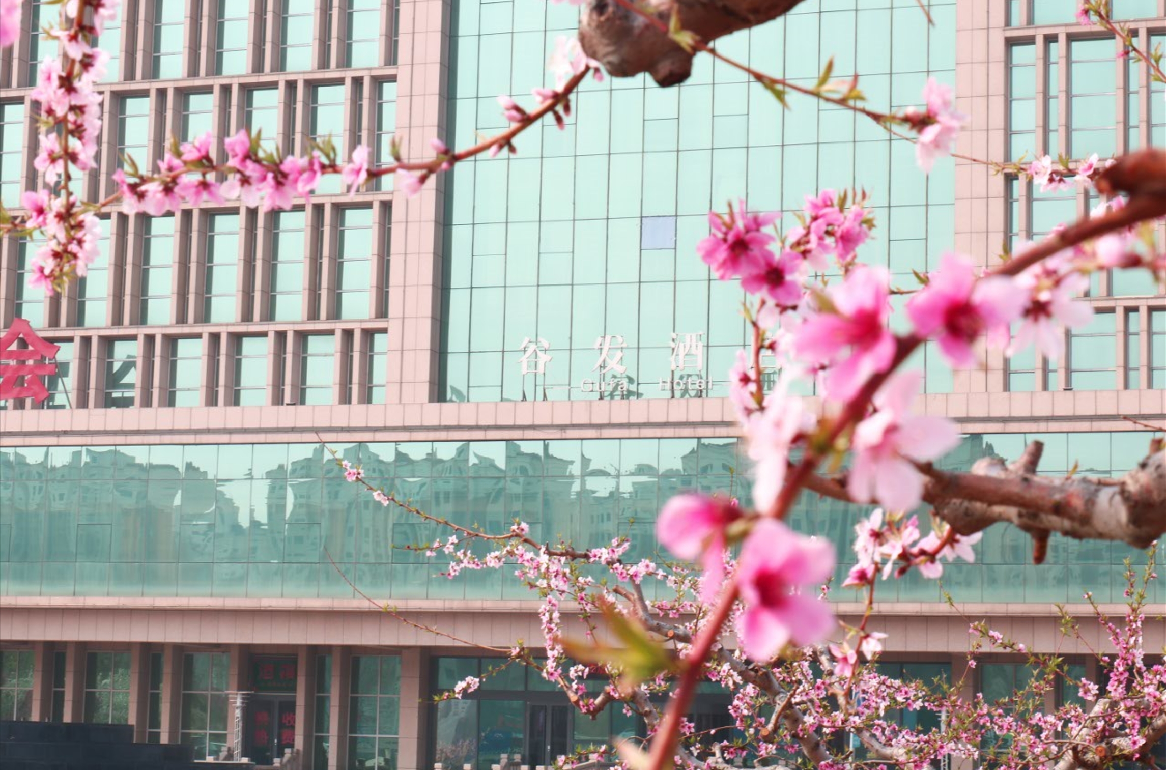微信截图_20240422092550.png
