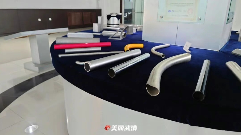 从武清走向世界的中国之“镁”→(图3)